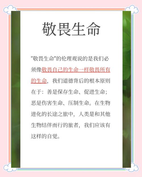 比知识点更长远的，是对生命的敬畏