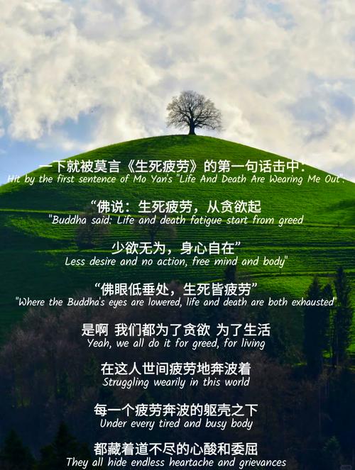 别催了,再硬的石头也熬不过慢慢的风