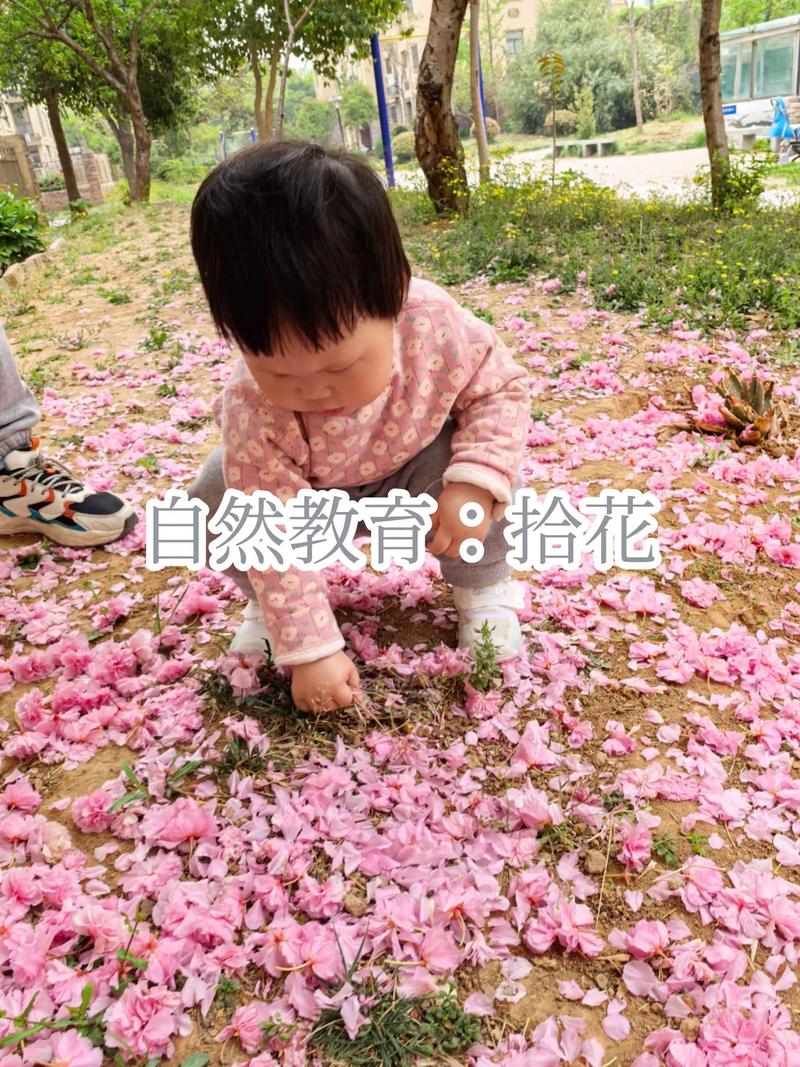 小学生户外路边捡花瓣做自然观察场景