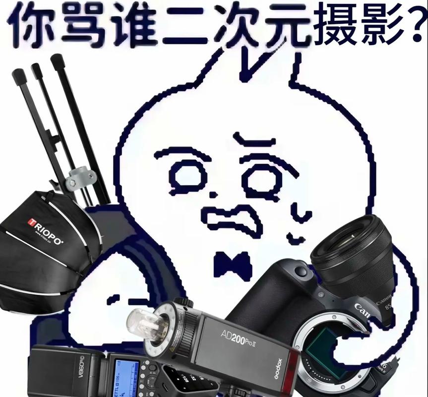 给主子拍照，比打怪都难