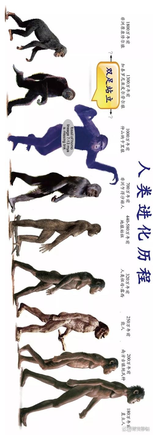 最新的进化方向，已经不止是步骤提示