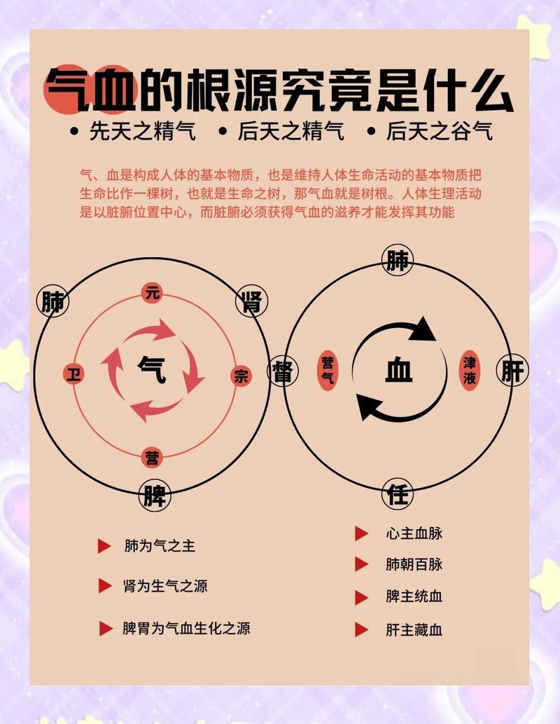 人体午时后气血运行通俗示意图