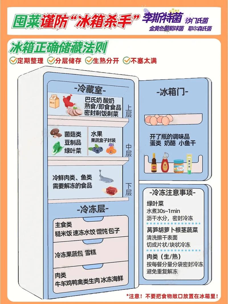 家用冰箱下层冷藏区存放便当示意图