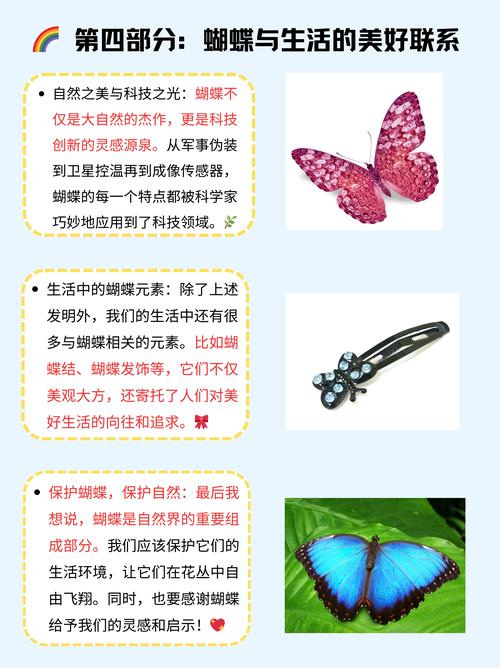 材料科学搞事情，蝴蝶翅膀的启示
