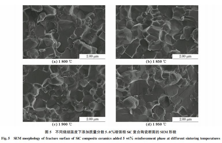 碳化硅涂层与石墨基体界面SEM微观裂纹图