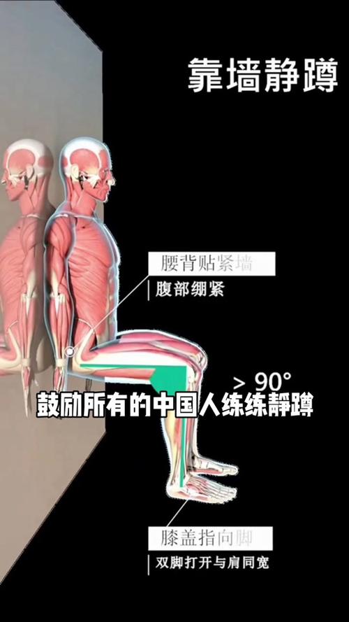 居家靠墙静蹲标准动作示范图