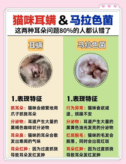 宠物猫耳螨与真菌感染耳垢对比图