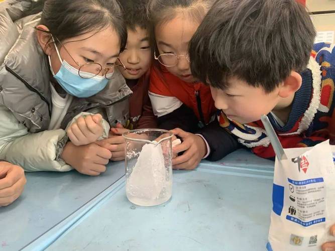 小学科学课堂分组探究实验场景
