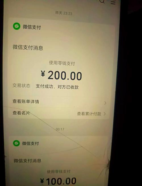 手机里家庭日常家务支付记录截图