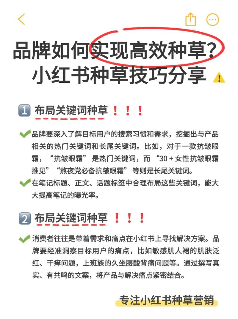 小红书品牌种草长尾关键词搜索结果页