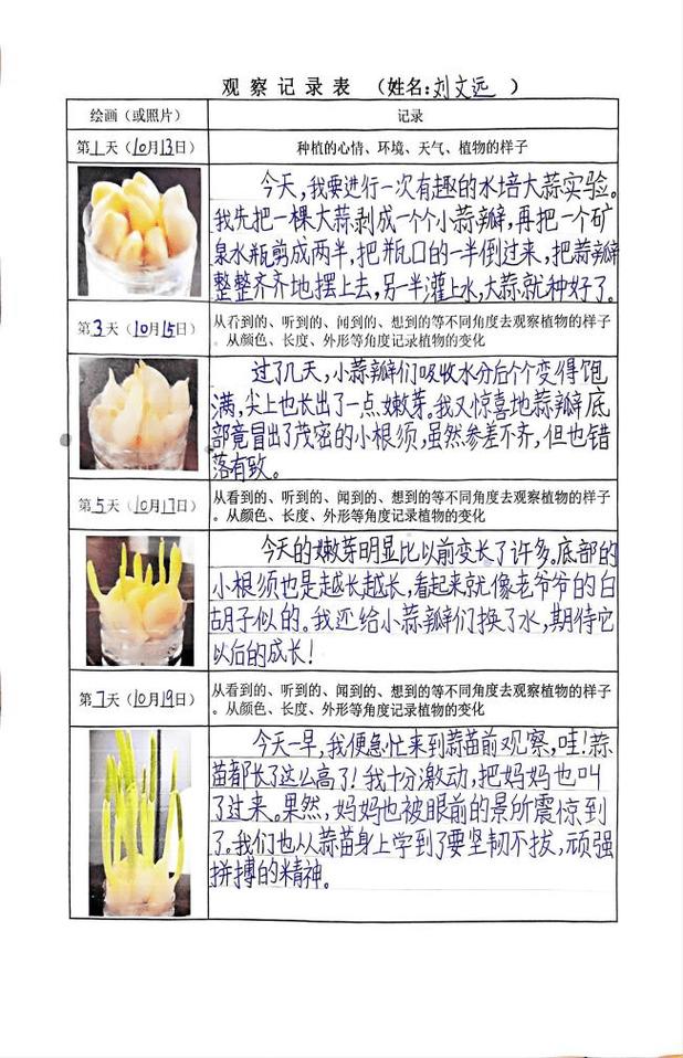 小学生分组讨论植物生长表现性任务