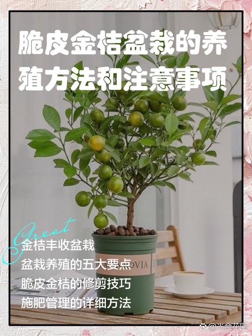 做盆栽筛选，有几个要注意的地方