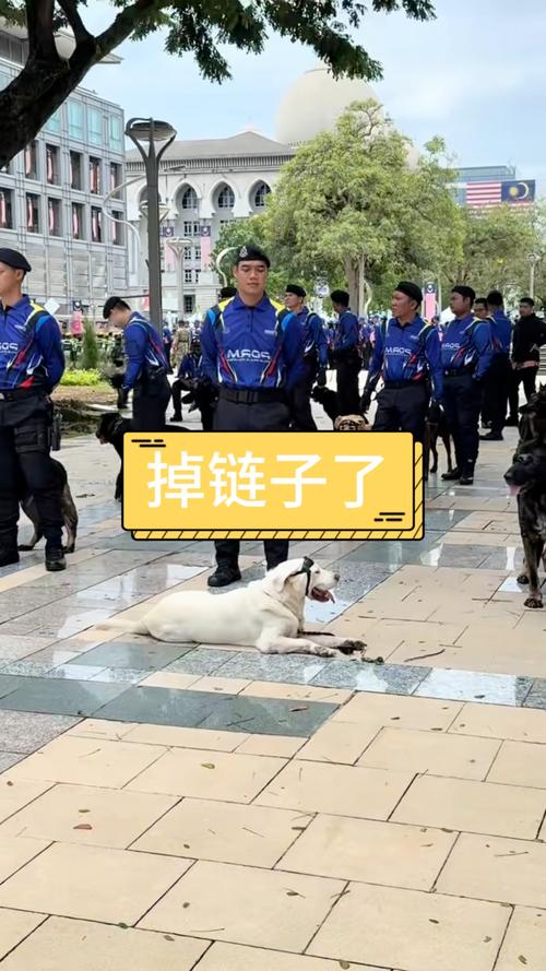 安装与验收：关键时刻掉链子，气到想骂人