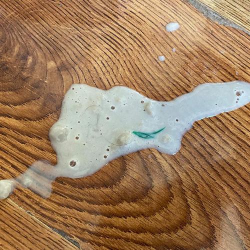 猫误食人用牙膏后在宠物医院急诊台呕吐的场景