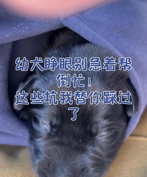 三、那些“坑”我替你踩过了