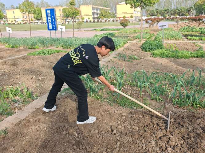 中小学劳动周学生菜园劳作实拍