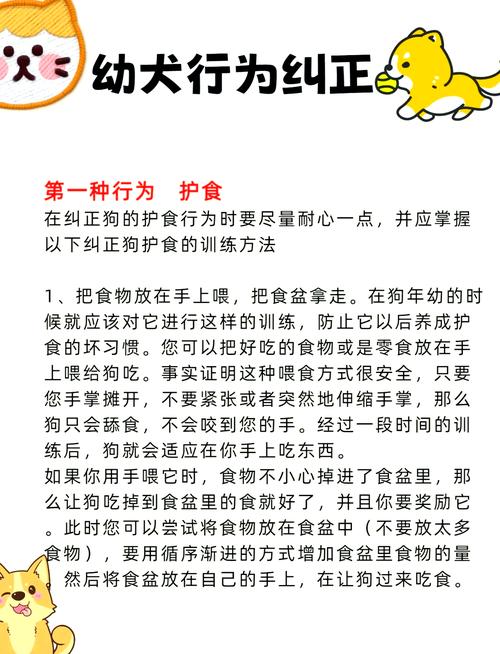 那些根本不需要练的“护食”,别瞎纠正