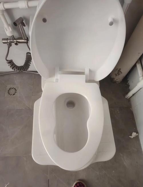 蹲便器和马桶,我全想要