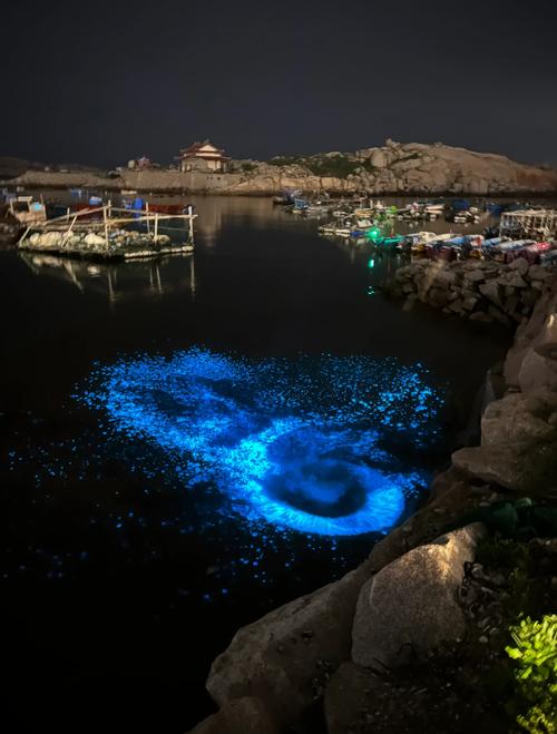 平潭蓝眼泪爆发期场景