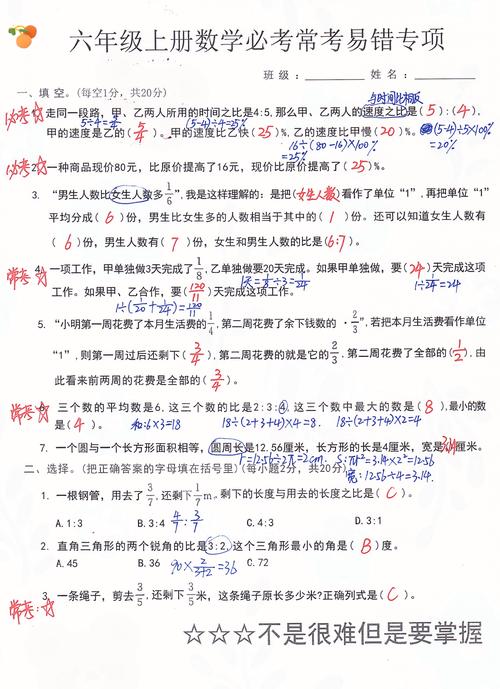 小升初数学试卷红笔圈画易错点实拍图