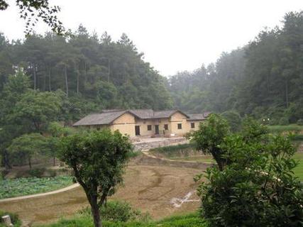 韶山毛泽东同志故居前稻田风光