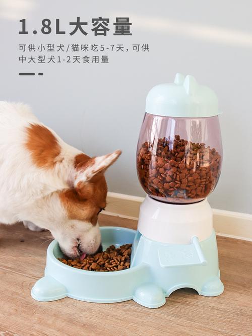 这几类狗,真的别硬用自动喂食器