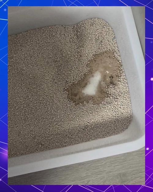 猫砂盆底部残留尿垢实拍图