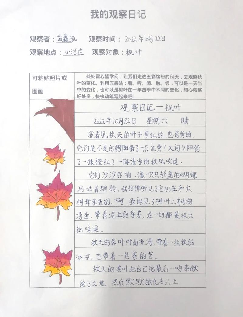 小学语文课堂学生用梧桐落叶写观察笔记实拍