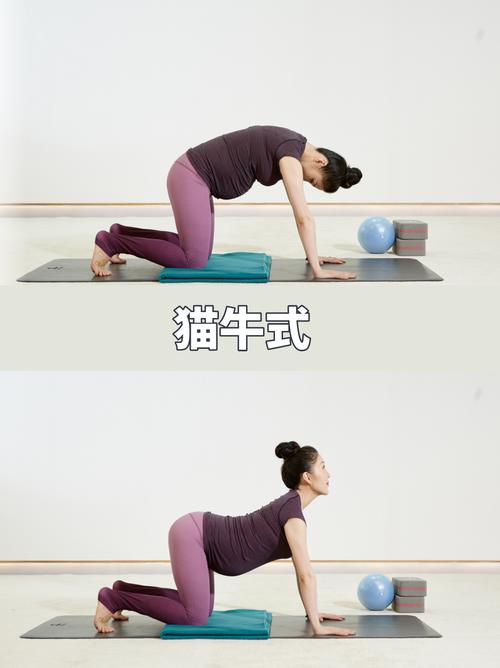 家用瑜伽垫上猫牛式基础动作示范