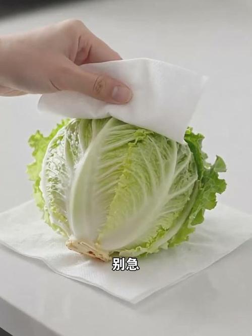 用湿纸巾包裹蔬菜根部的保鲜方法