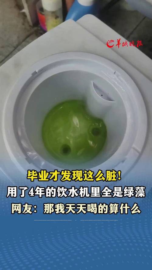 猫饮水机内壁滋生绿藻实拍