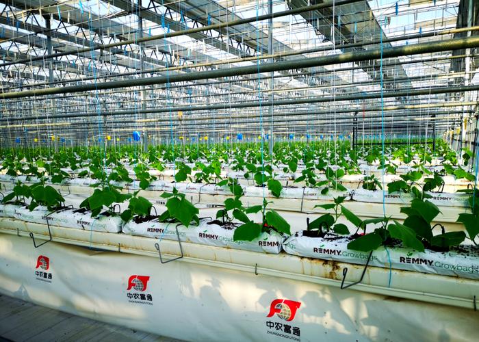 别拿概念凑数：产业化示范基地真不是用来拿补贴的圈地游戏