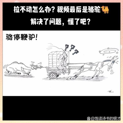 这些常见误区，好多老驴都踩过