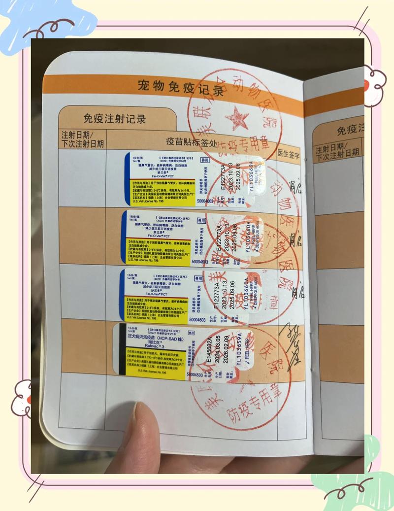 正规宠物医院宠物疫苗注射登记本