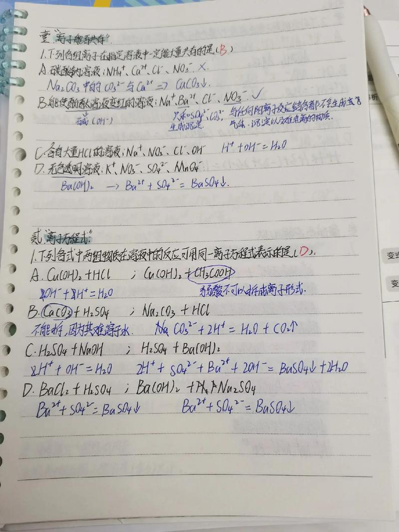 学霸手写错题本潦草批注分析