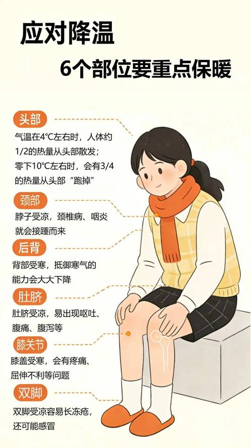 冬季人体重点保暖部位示意图