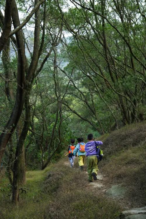 城市近郊低龄亲子徒步亲子旅行路线实拍