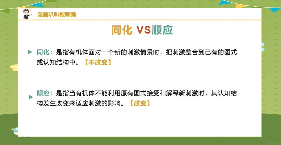 同化与顺应的幼儿认知示意图