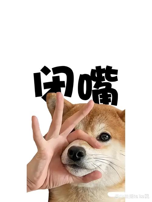 突然，有个项目让我闭嘴了
