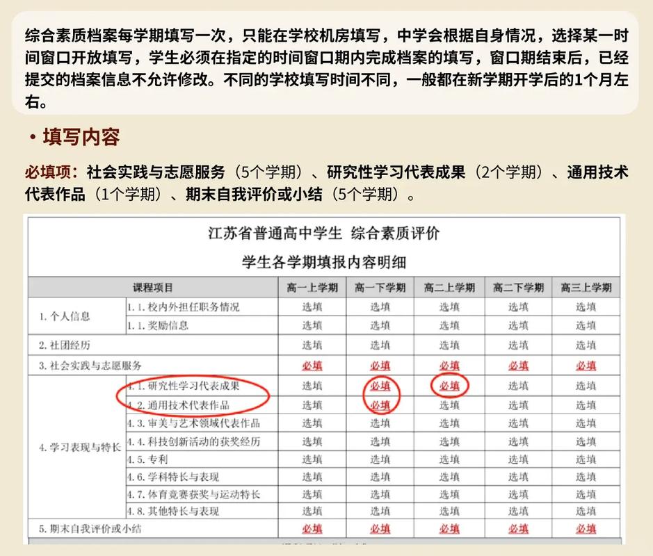 高中综合素质评价档案填写界面截图