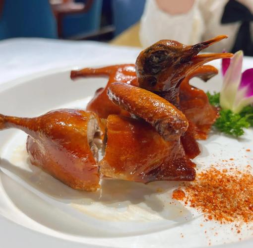 烤鸽子特写