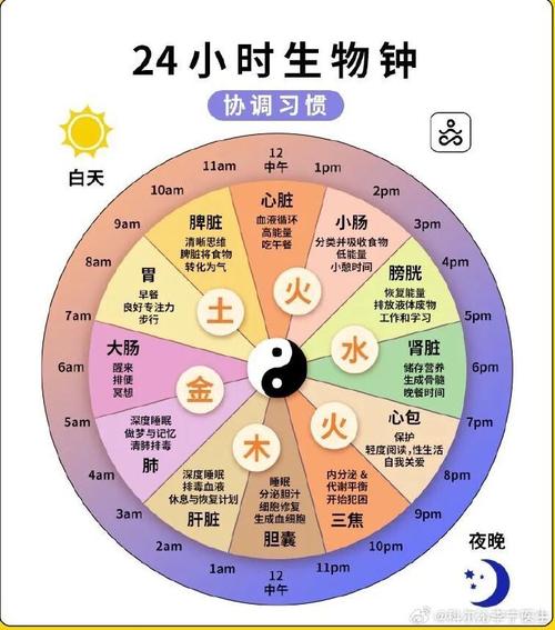 节假日与工作日生物钟对比示意图