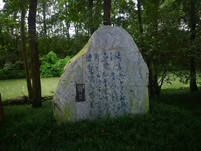 留一块“混乱自留地”反而更长久