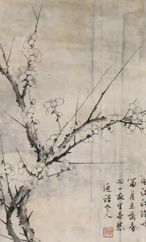 花谱:那些被时间封存的花事与人心-因为所以