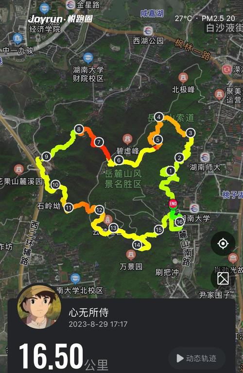 本地人选的路线，照着走就对了