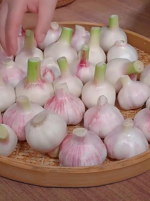 带皮完整新鲜生紫皮大蒜图