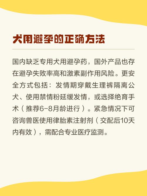 狗狗常见错误避孕方法危害对比表