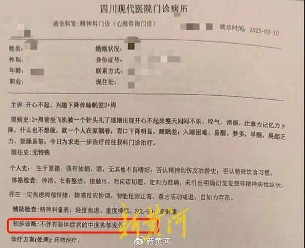 精神损害心理诊断报告与证据材料整理示意图