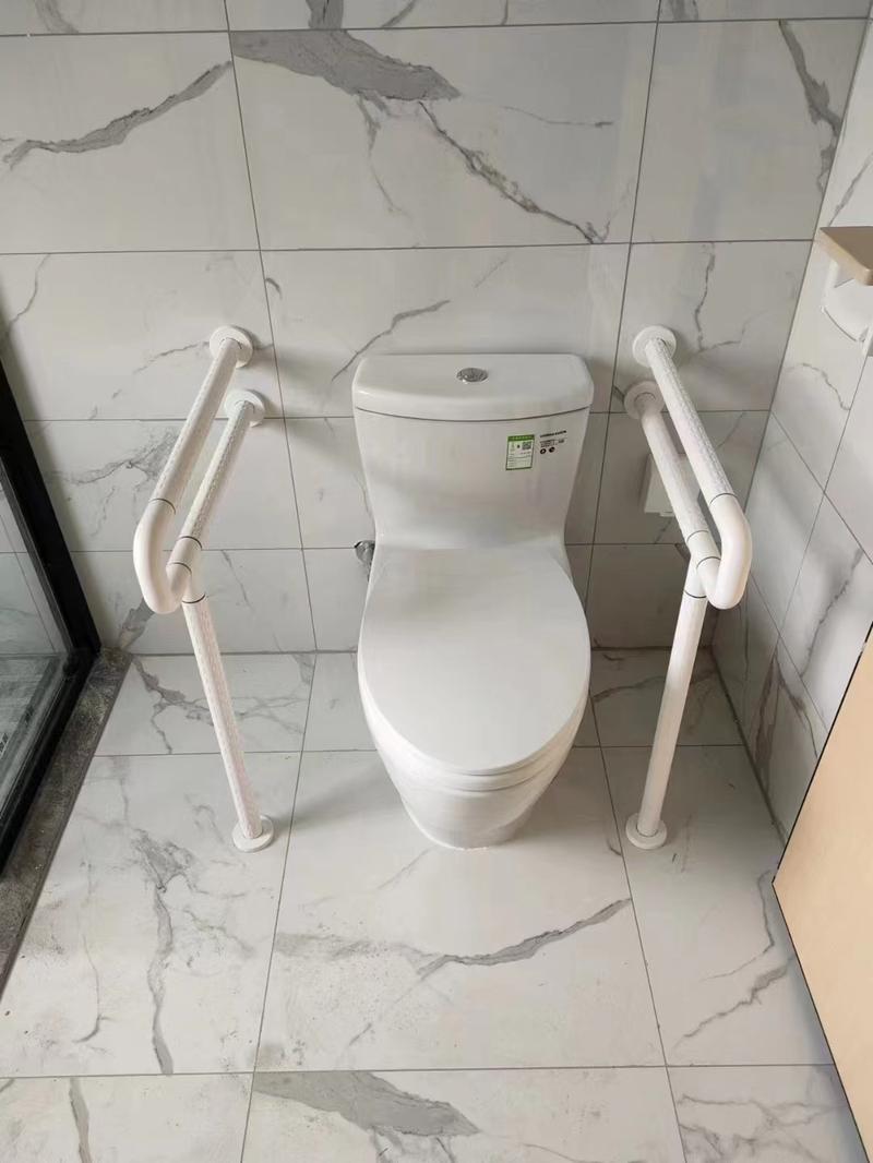 卫生间老人马桶扶手安装效果实景图
