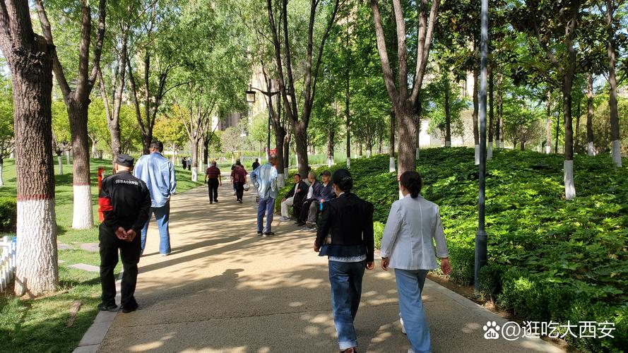 城市公园清晨户外散步人群